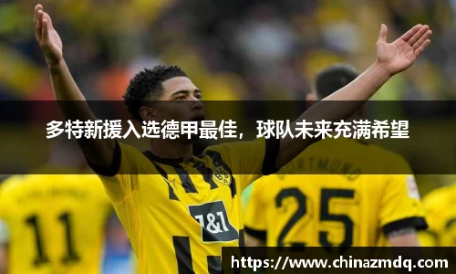 多特新援入选德甲最佳，球队未来充满希望