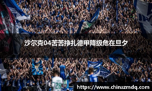 沙尔克04苦苦挣扎德甲降级危在旦夕