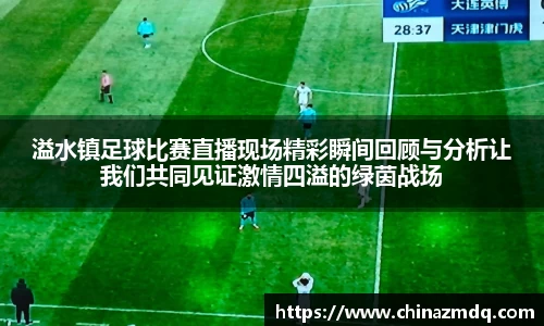 溢水镇足球比赛直播现场精彩瞬间回顾与分析让我们共同见证激情四溢的绿茵战场